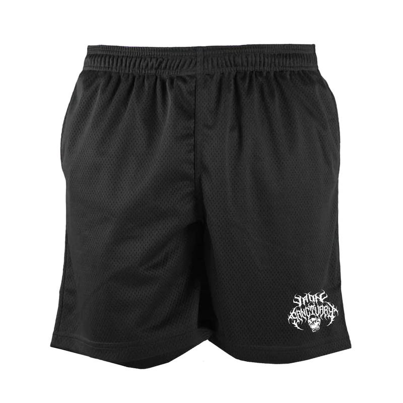 Metal Mesh Shorts