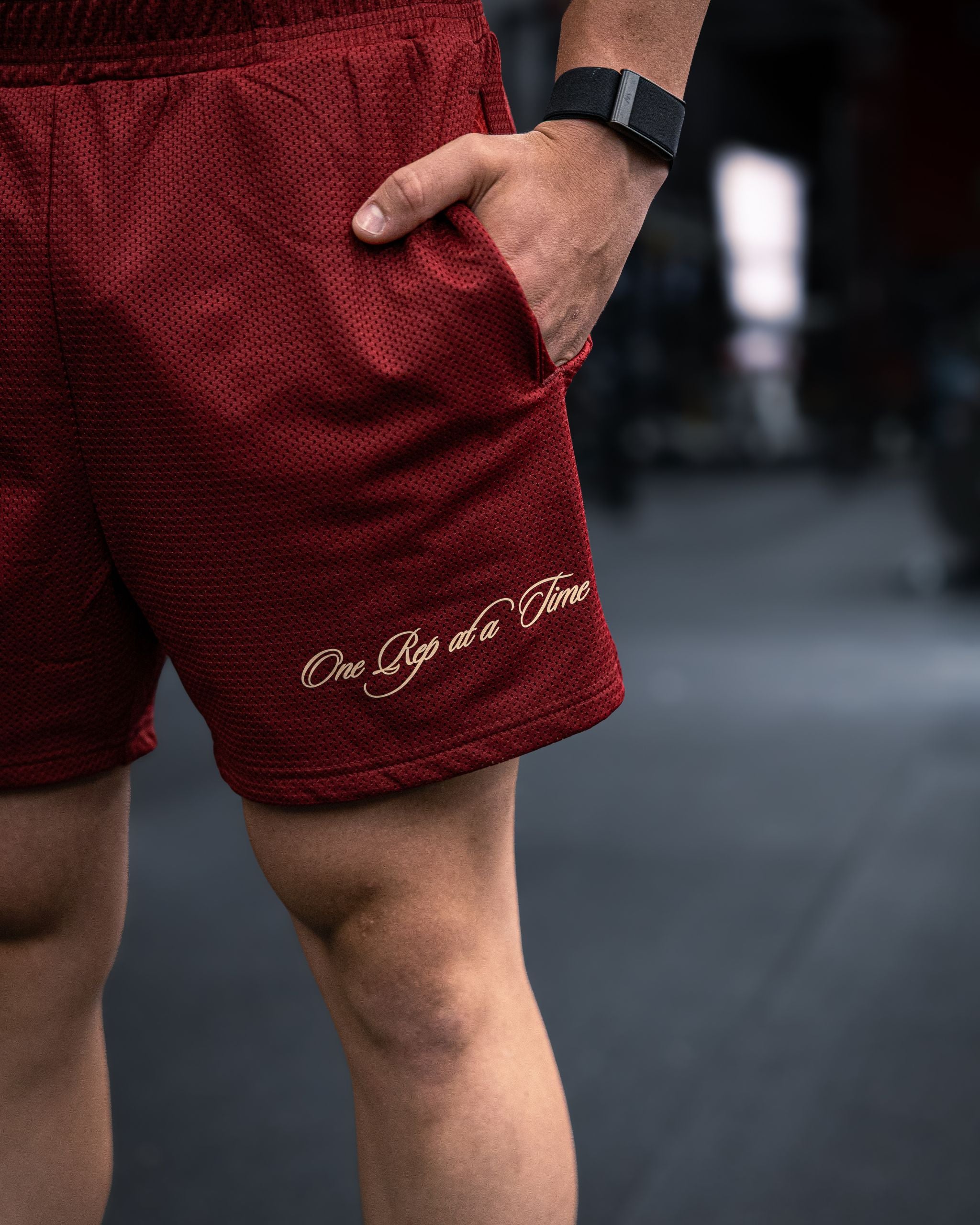Sanctuary Mesh Shorts